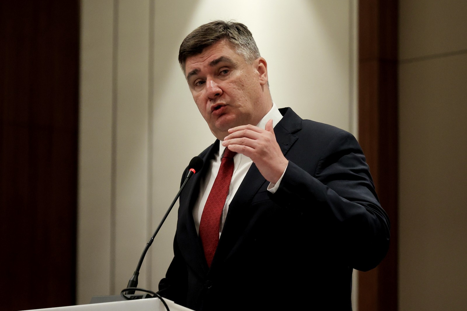 zoran milanović